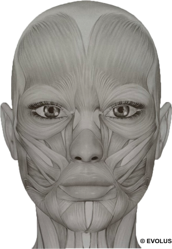 Ästhetische Medizin