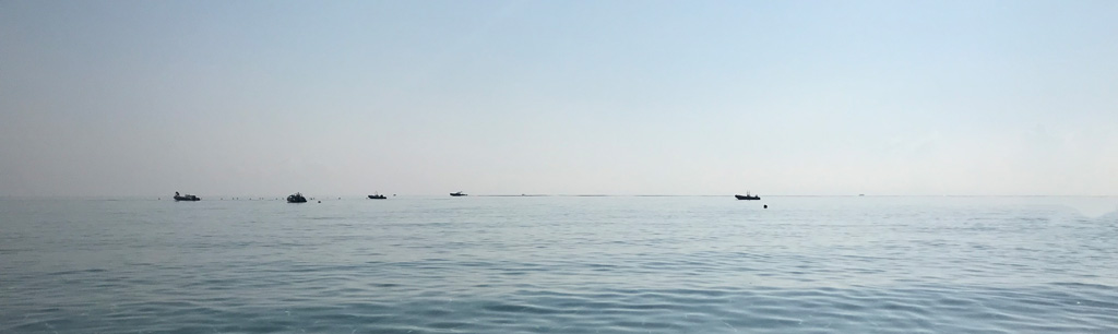 Ästhetische Medizin